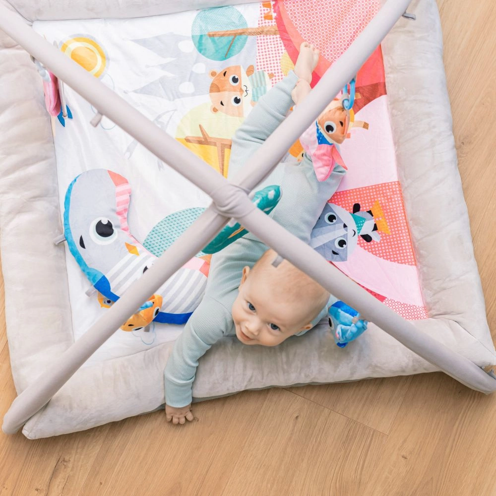 Baby Play Mat Activity Gym - 0 month & above