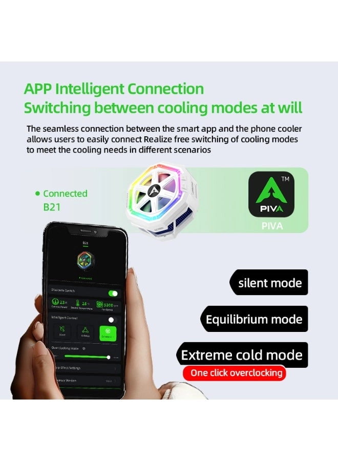 B21 - iPad Cooling Fan 3 Speeds RGB 5000 RPM 23W