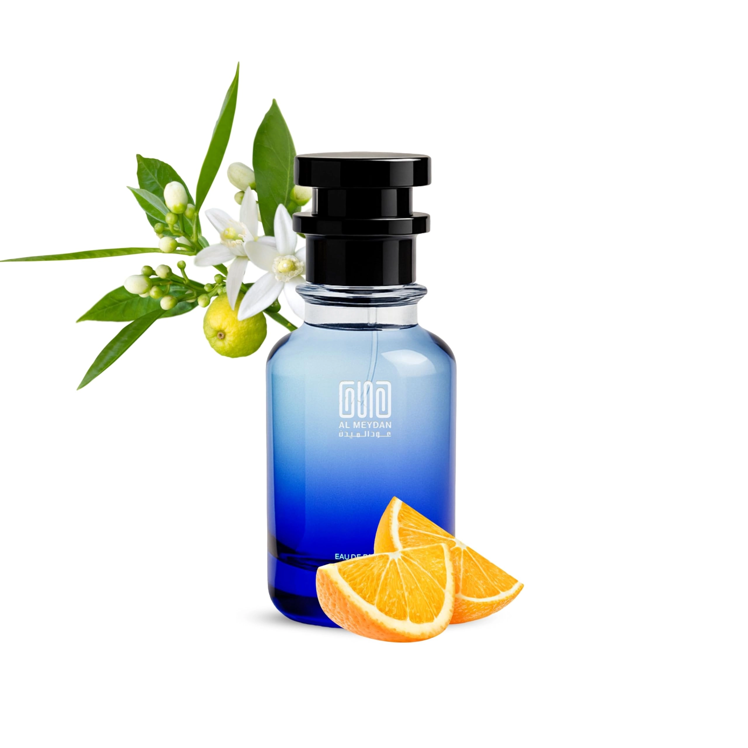 Oud Al Meydan Impression of Alluure Hommee Sport - 80 ML