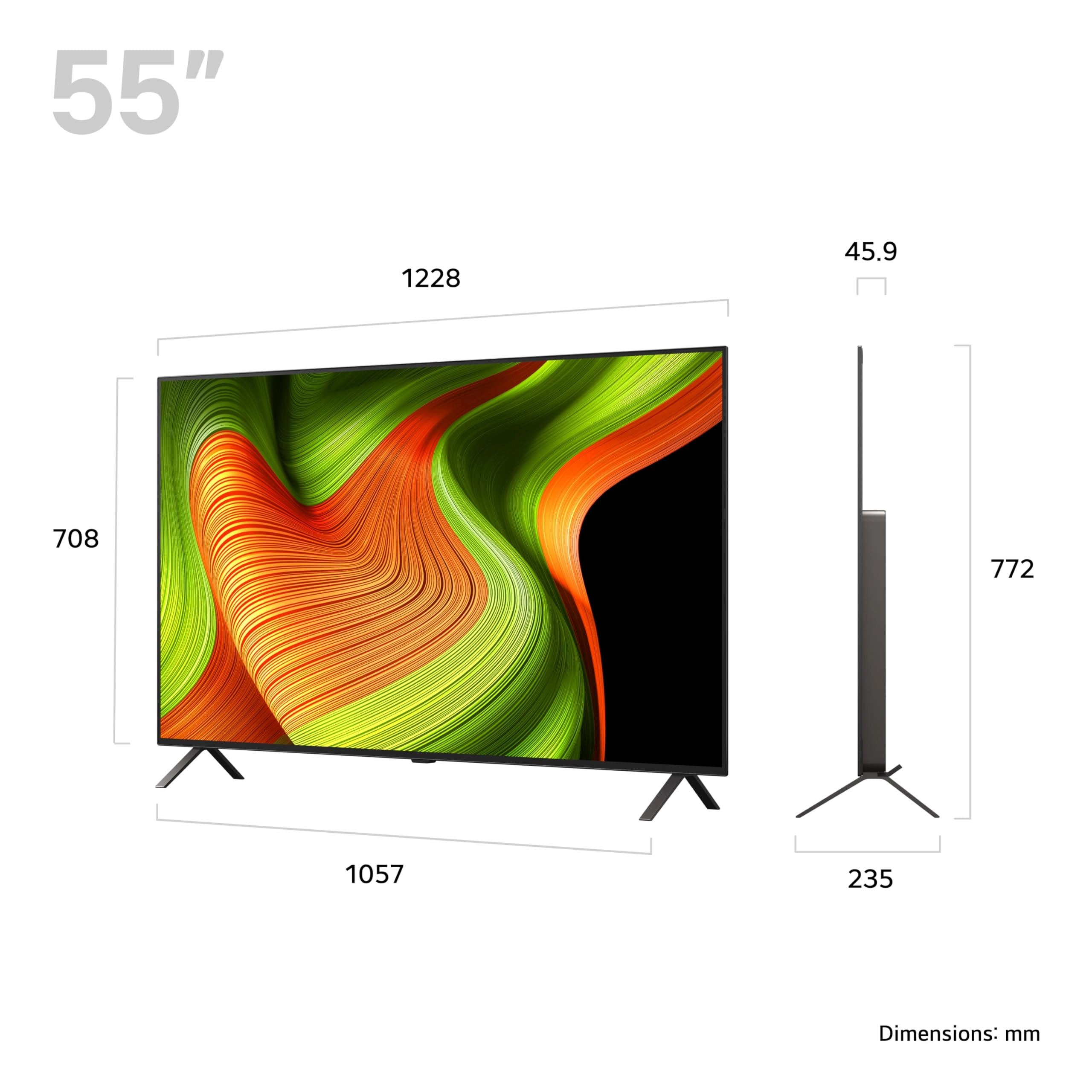 OLED55B56LA - 55-Inch + X02