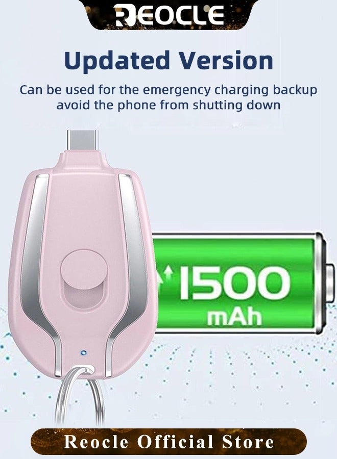 Mini Portable Charger - 1.5 Watt-hour