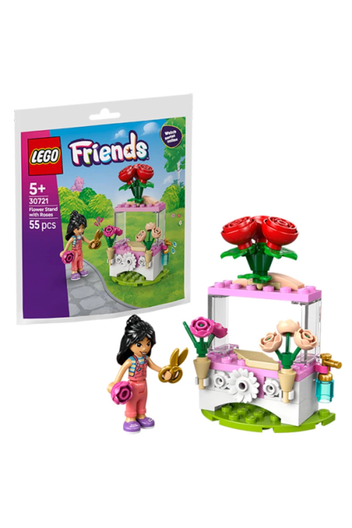 COLOR LAND CHILDRENS TOYS CENTER LLC Friends Flower Stand with Roses (30721)