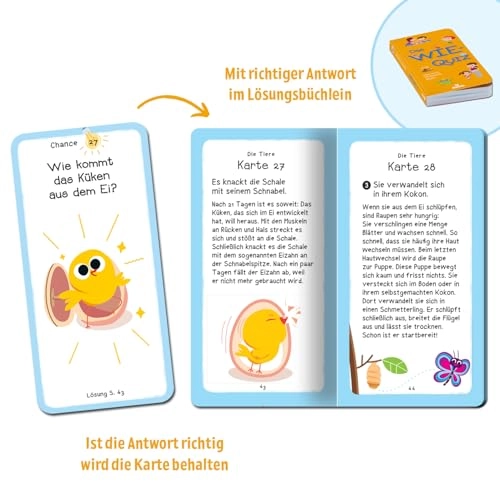 Das Wie-Quiz - Card Game (German)