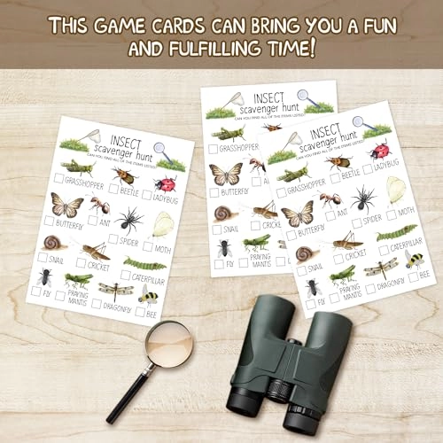 Insect Scavenger Hunt Cards - 30 piece(s) 15 years and up