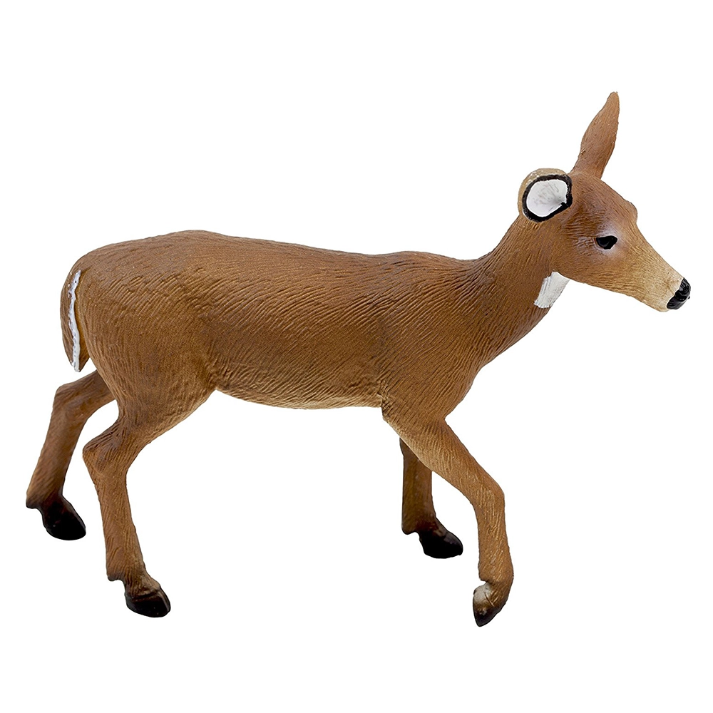 Mojo White Tailed Deer Doe