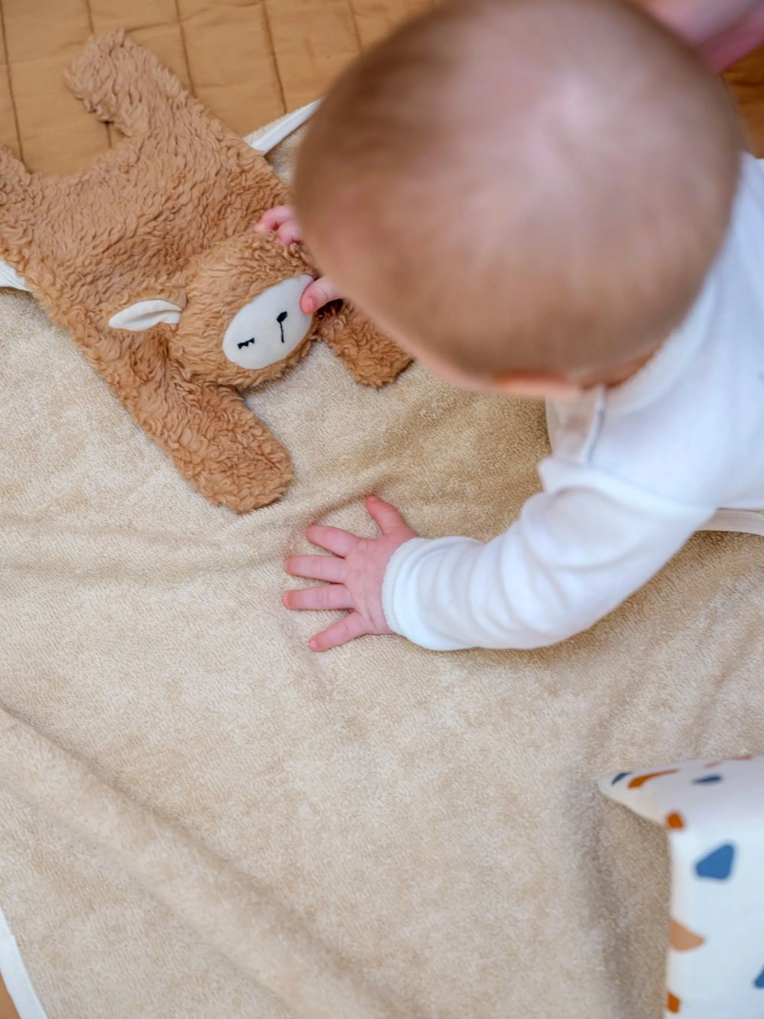Cuddle Sheep - 100% Organic Cotton 100% Recycled Polyester