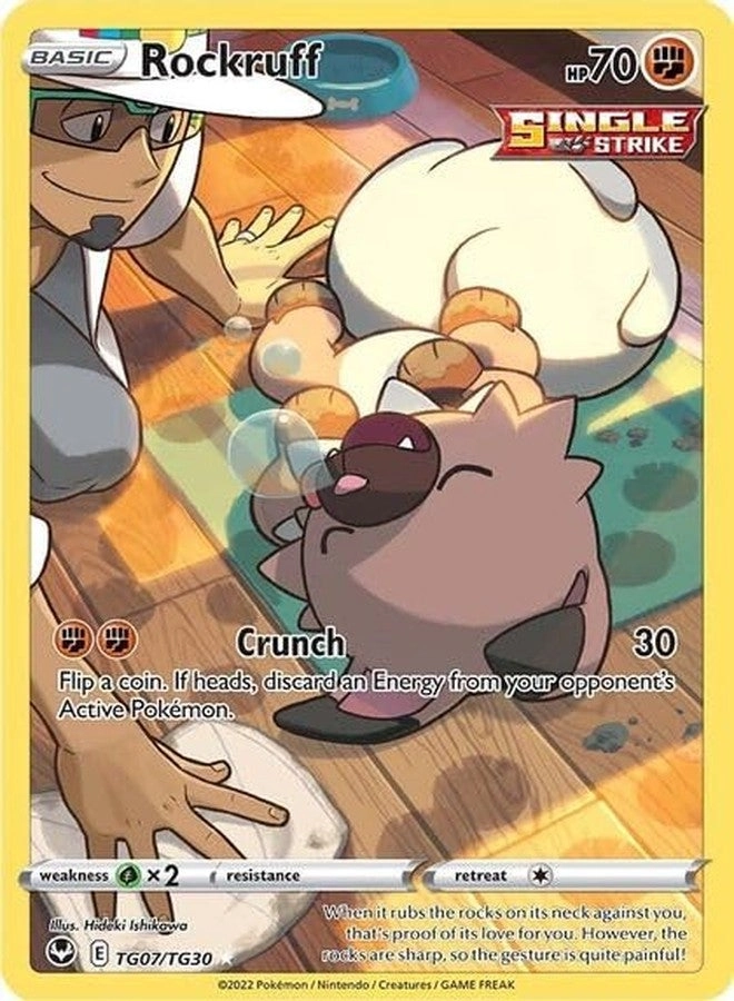 Pokémon Rockruff TG07/TG30