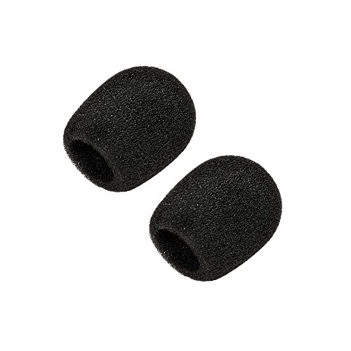 WordSentry USB Microphone