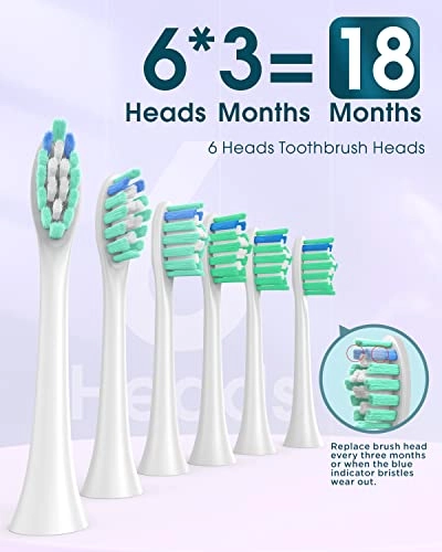 Y01 - 6 Heads 5 Modes Purple