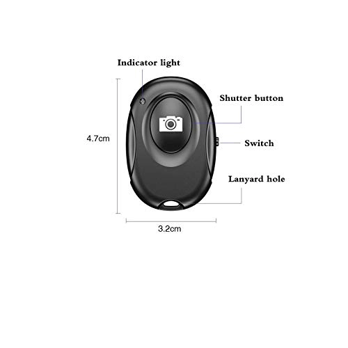 LED Ring Light - 10 inch