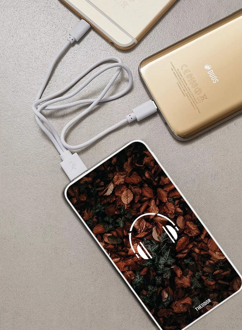 PPBA228 - 10000mAh 18W PD