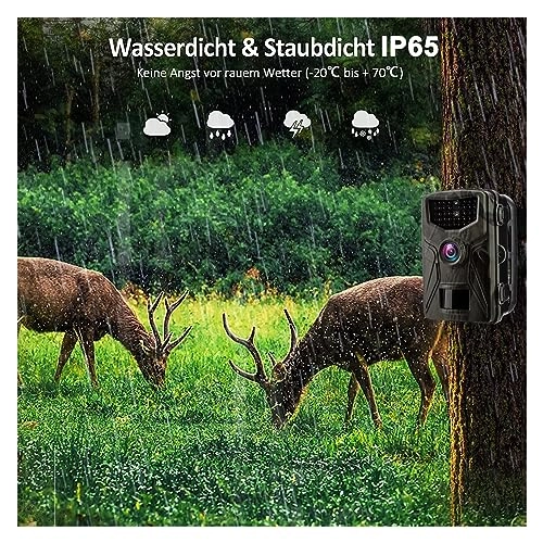 Wildlife Camera - 5MP