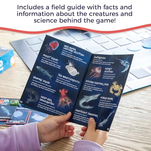 Search for a Giant Squid