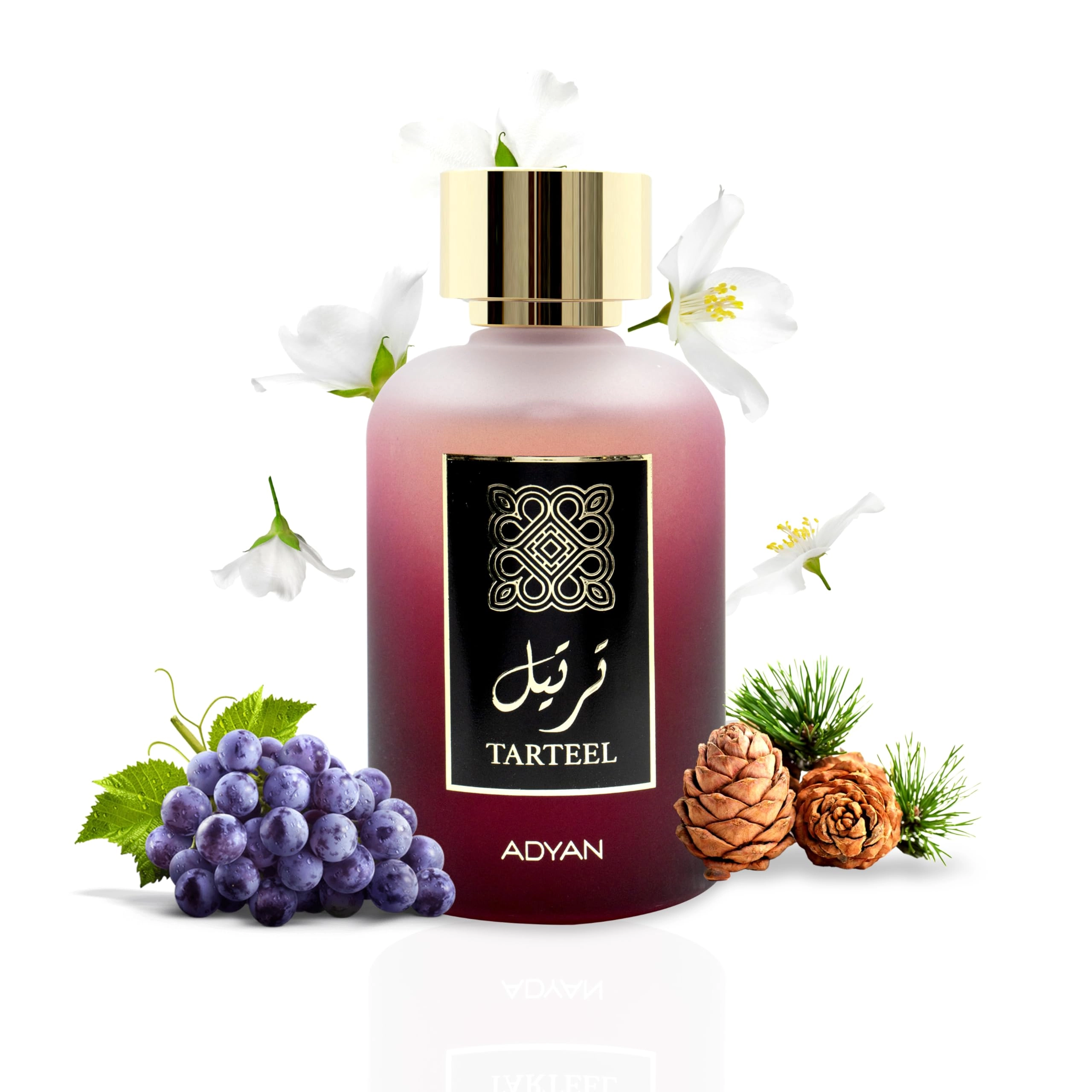 OUDH AL ANFAR MANUFACTURING L.L.C Tarteel Eau de Parfum 100 ml