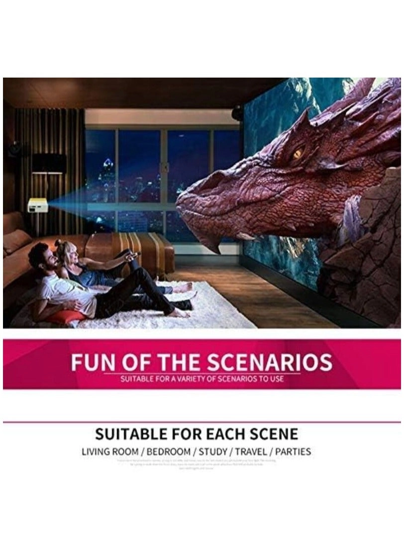 YG-300 320*240 Pixels