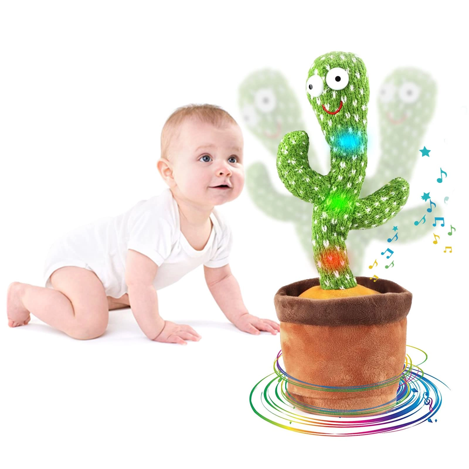 Weiei Dancing Cactus