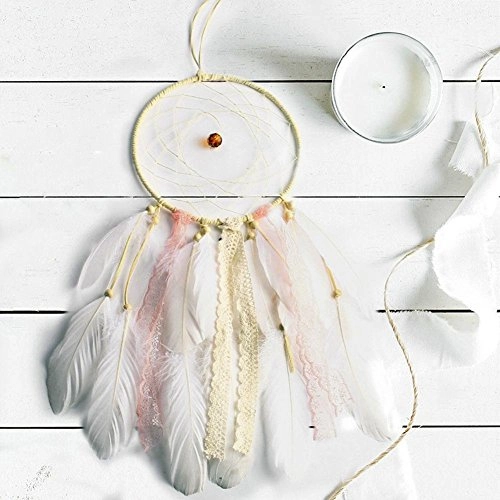 Dreamcatcher - Siderosphere, feathers, lines, wood beads.