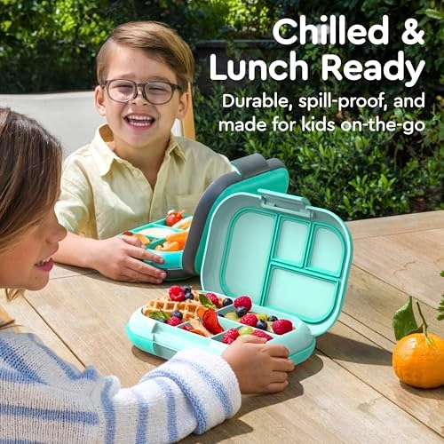Kids Chill Lunch Box - Green four compartments