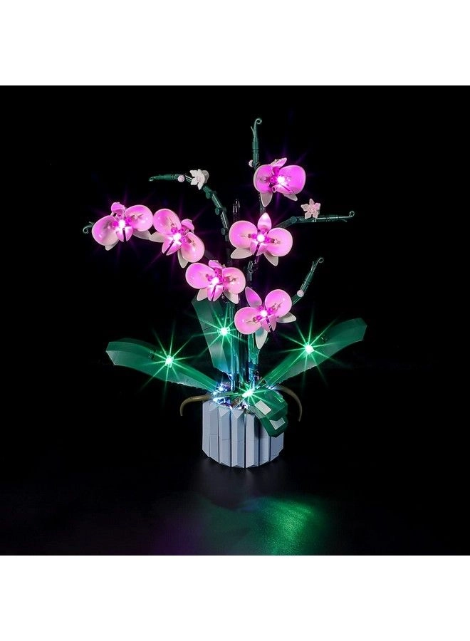 Led Lighting Kit - Flowers