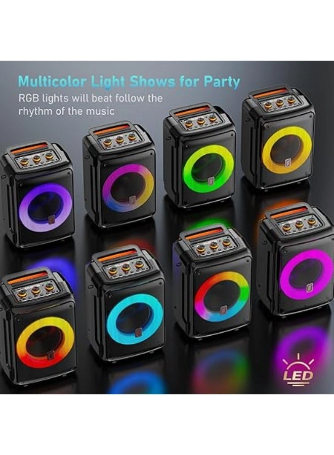 AE-D13 - 2 Microphones