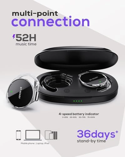 BT-X Wireless Headphone