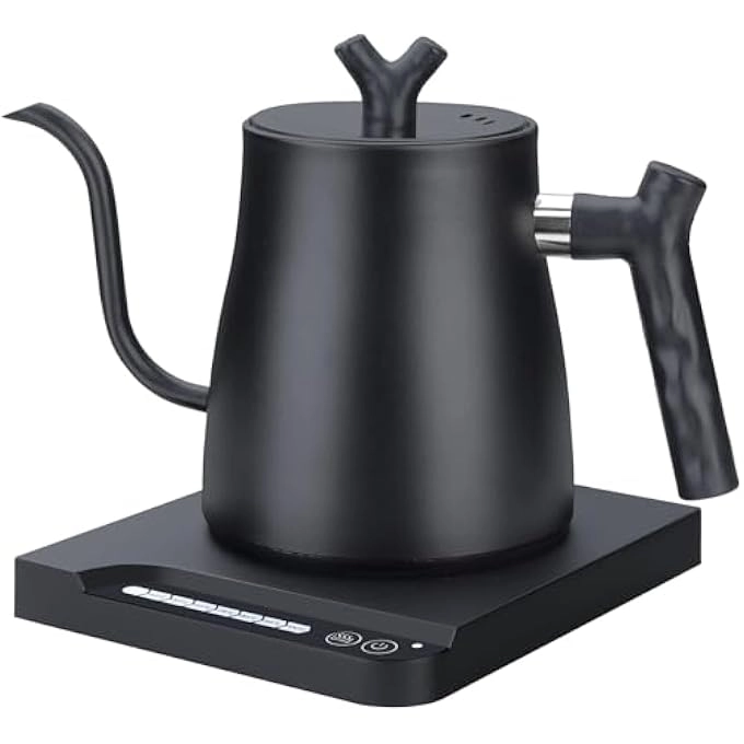 FDTY Gooseneck Electric Kettle