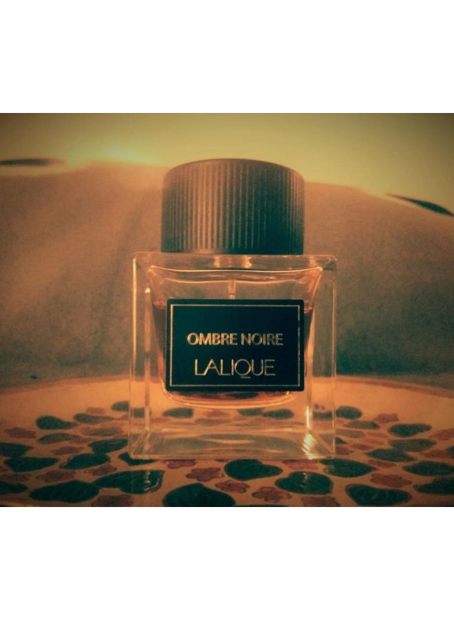 Ombre Noire Eau de Parfum 100 ml