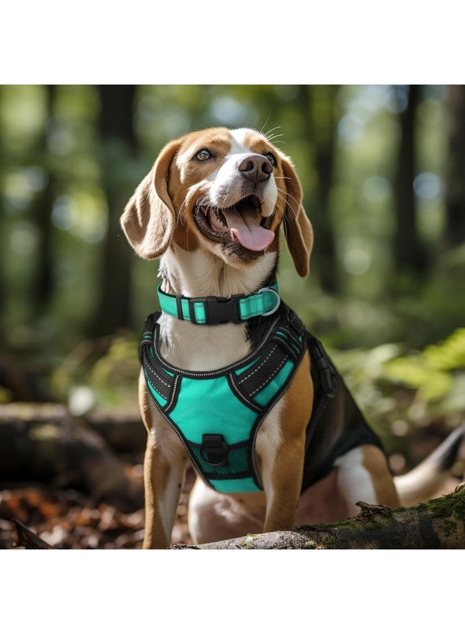 Joytale Reflective Dog Collar Dog L