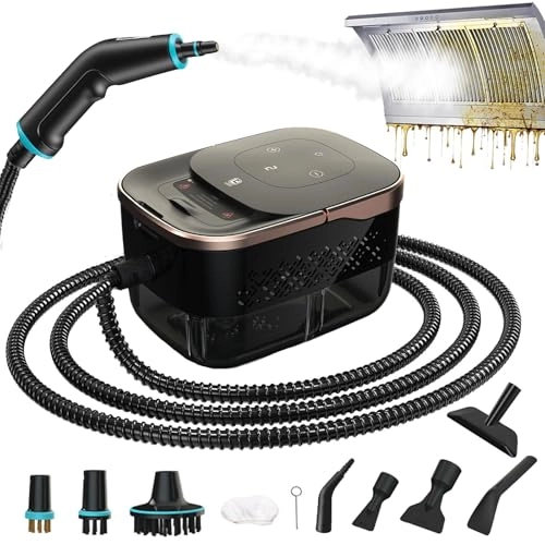 Hand Held Steam Cleaner