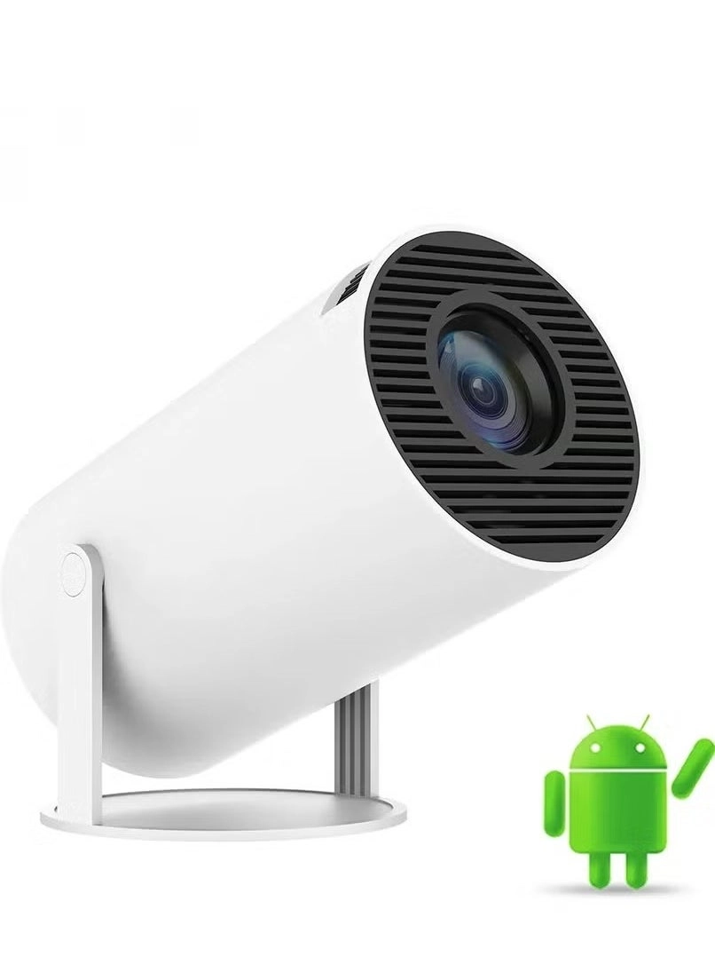 HY-300 120ANSI Lumens