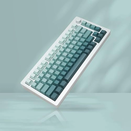 Womier PBT keycaps - 75 Percent Mechanical keyboard