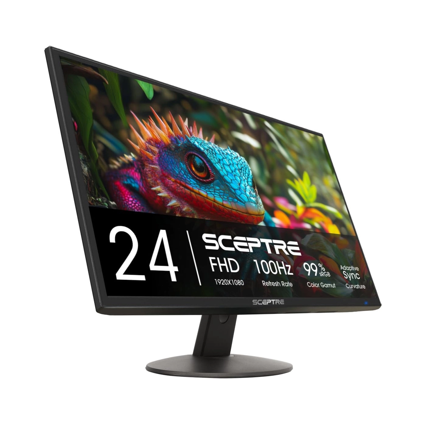 Sceptre E248W-FW100TR - 24-inch