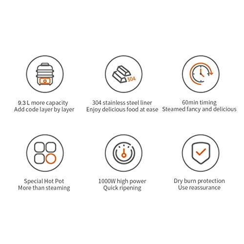 Electric Steamer - 9.3 Liters