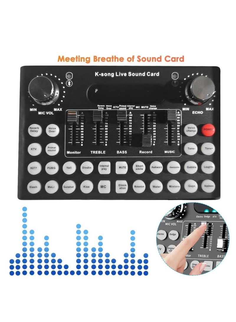 V8 Wireless+USB Microphone