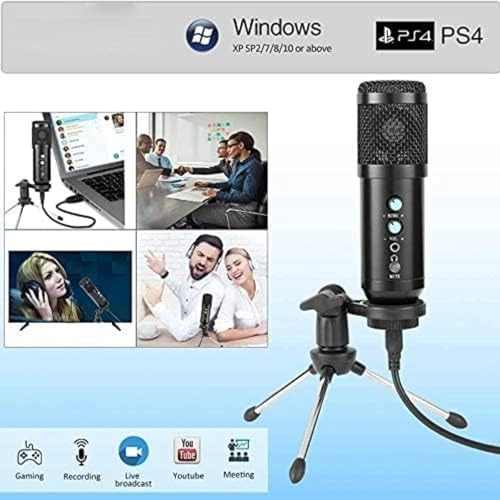 SE0069DG9 USB Microphone