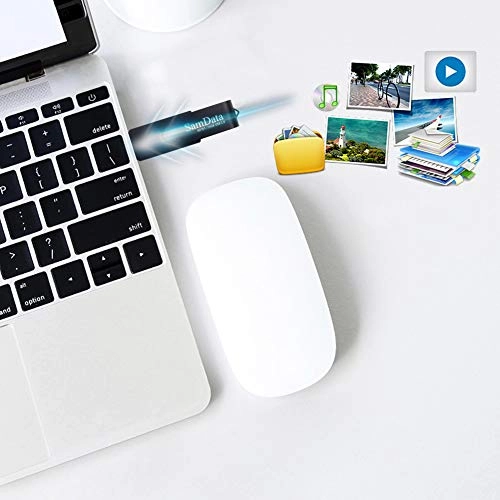 SamD101 - USB 2.0 16GB