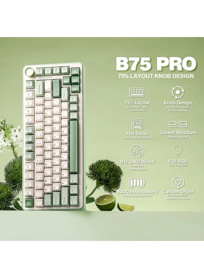 B75 PRO - 75% Wired/Wireless