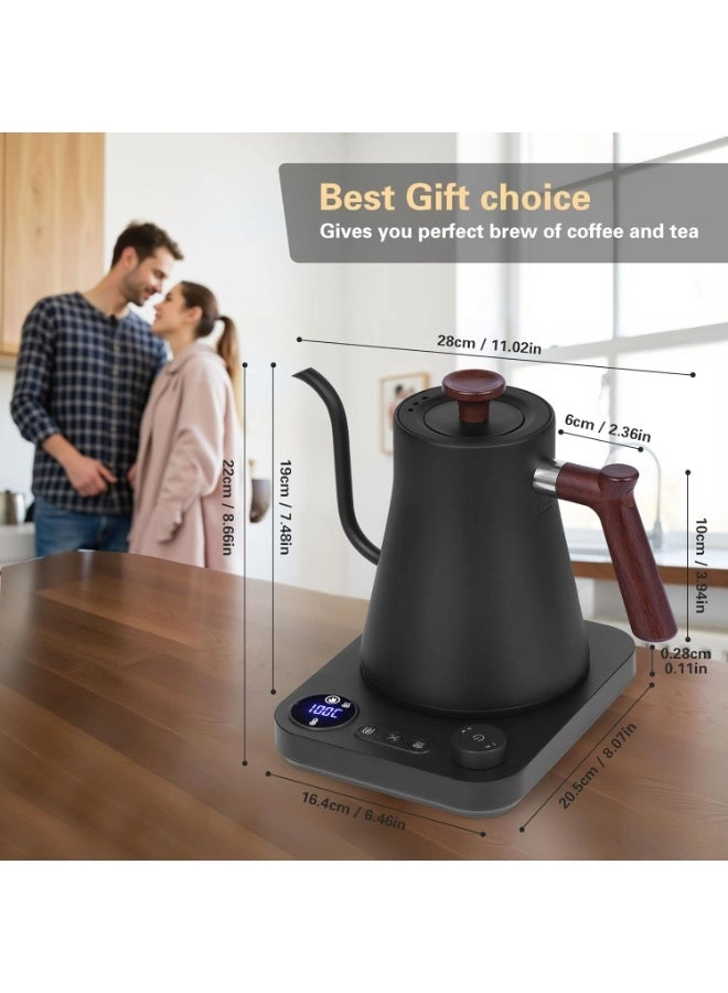 Electric Kettle