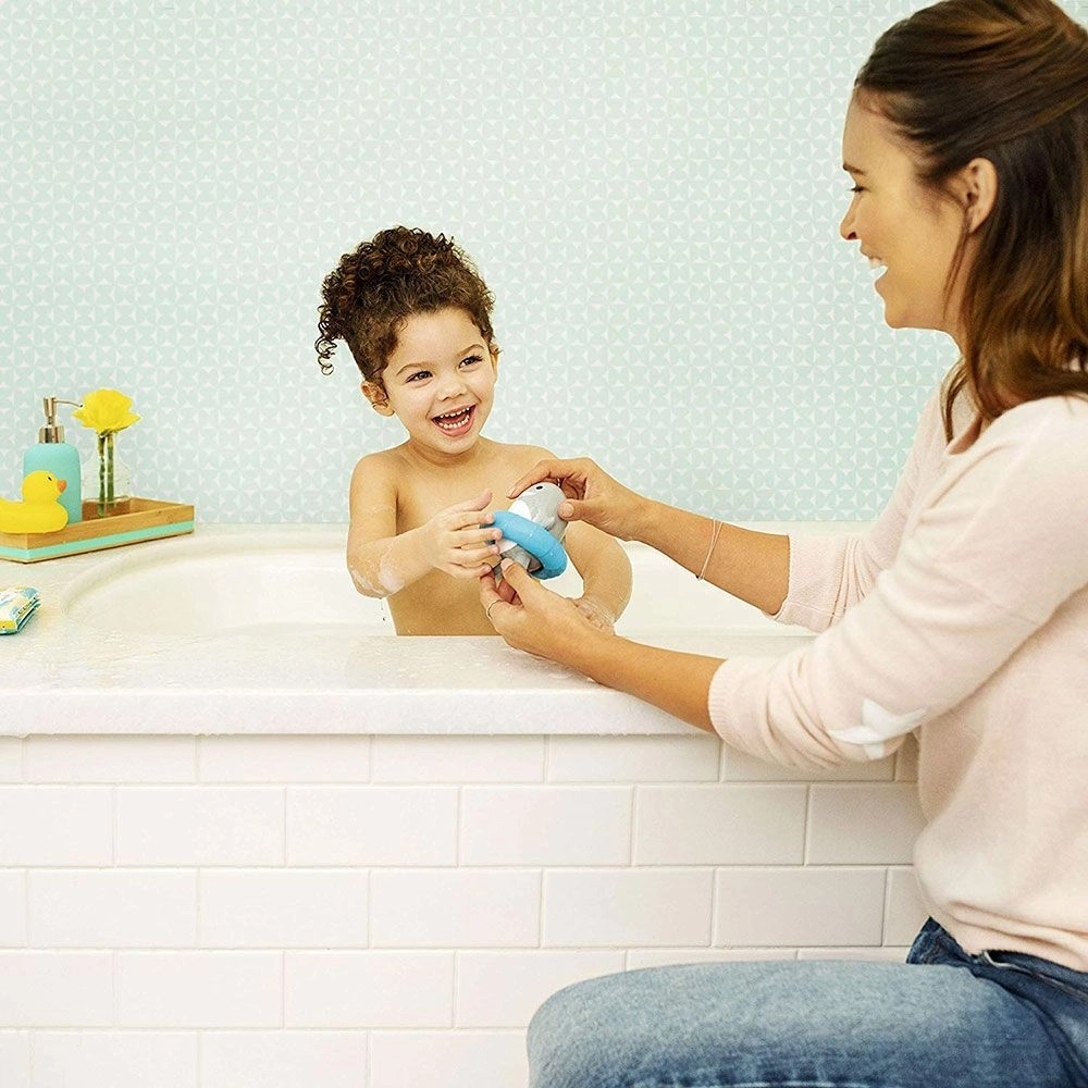 Sea Spinner - Wind-Up Shark Gray