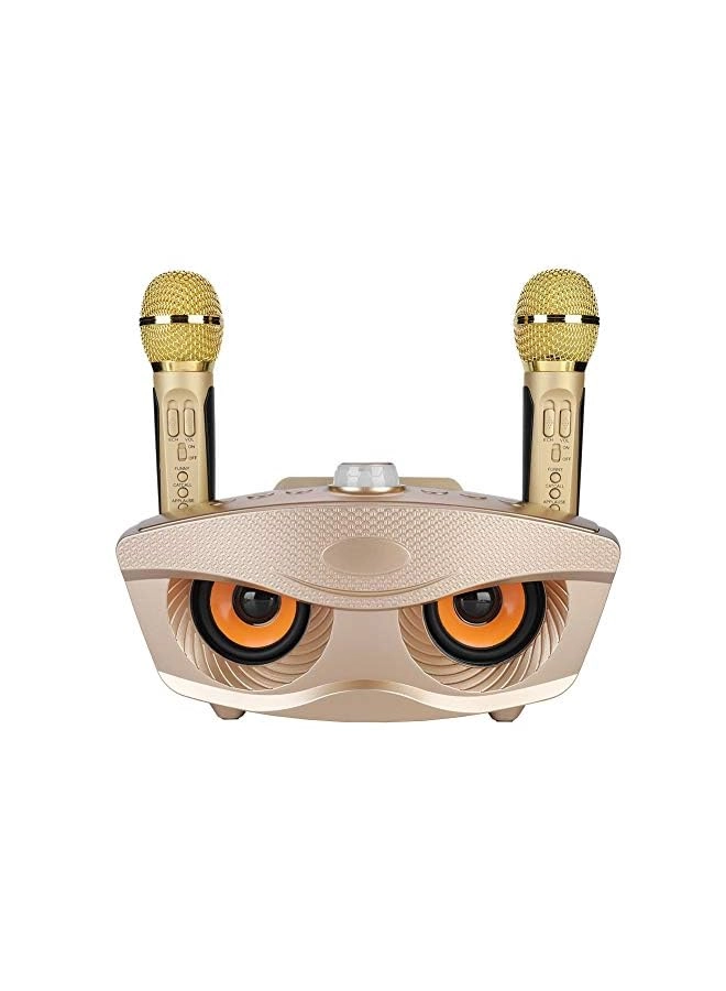 Karaoke Machine - 2 Wireless Microphone 10W