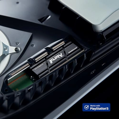 FURY Renegade - 1000GB M 2