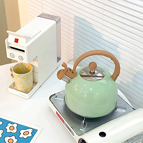 Stainless Steel Kettle - 2.5L