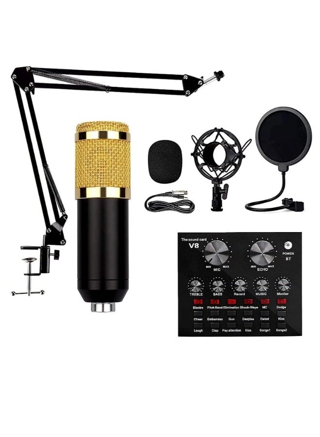 BM-800 + V8 live sound card Wireless Microphone