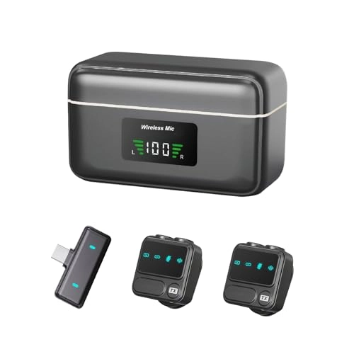 ufidvznmgt - 2 microphones 2.4G