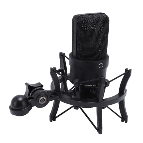 Oreiletxu5867vkse-11 XLR Microphone