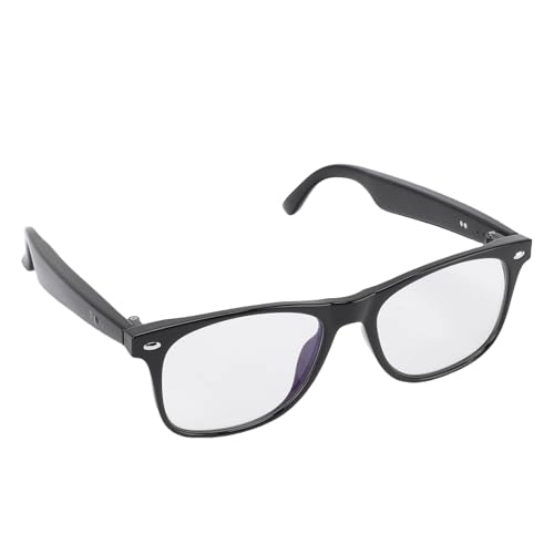 Smart Glasses - Polarized 100+ Languages