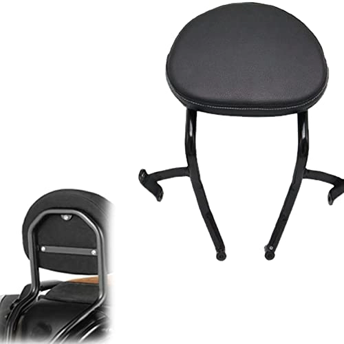 Passenger Seat Protector Backrest Sissy Bar - BMW K1600B K1600 2018 2019 2020 2021