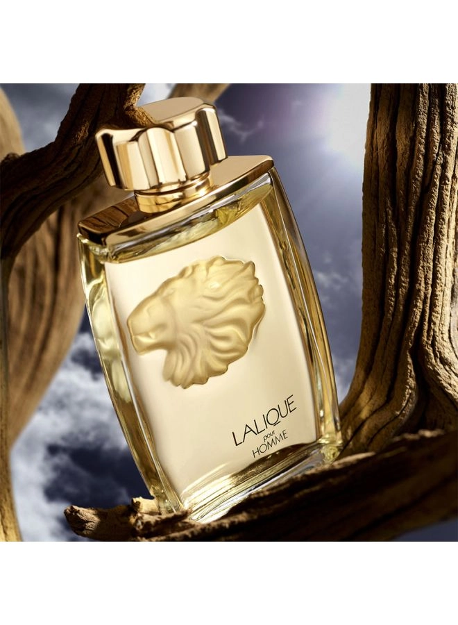 Lion Eau de Parfum 125ml