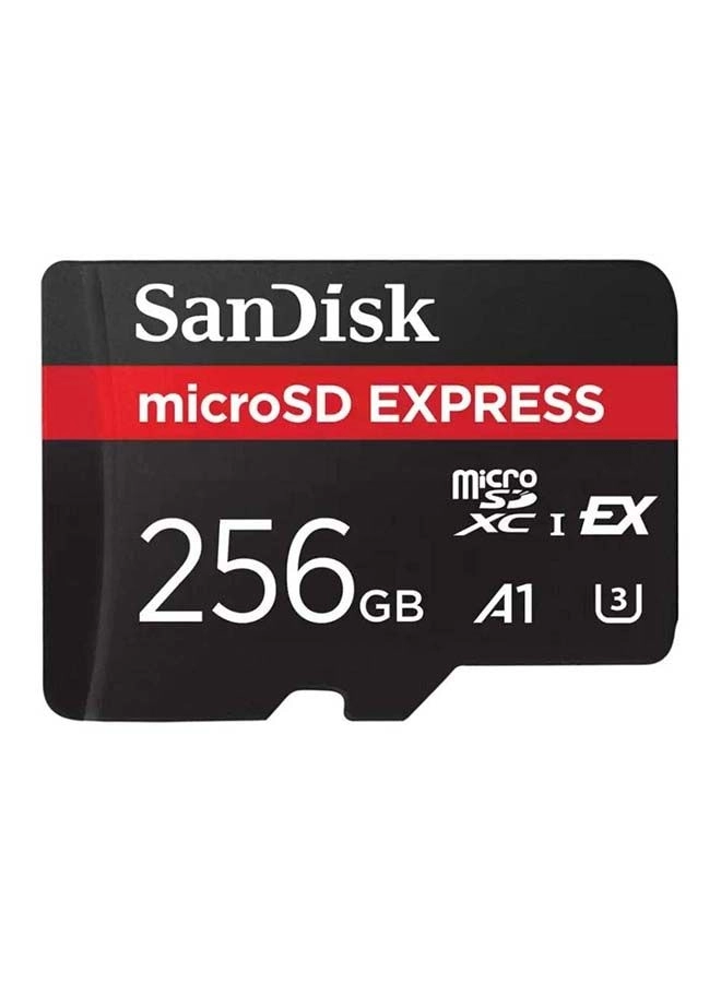 Express microSD U3 256GB