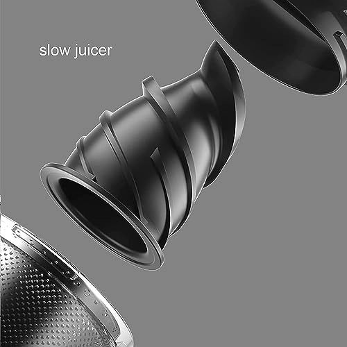 masticating juicer - 120W